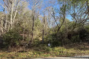 219 Bee Ridge Rd, Asheville, NC 28803 - Photo 1