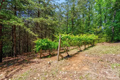 389 Woodgate Drive, Bostic, NC 28018 - Photo 14