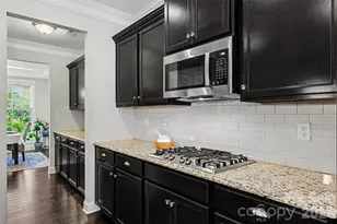 1376 Rainier Dr, Fort Mill, SC 29708 - Photo 10