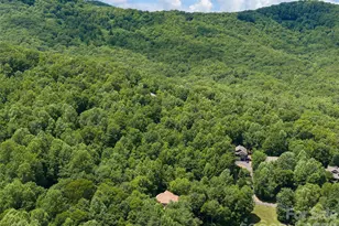 48 Smokemont Dr, Arden, NC 28704 - Photo 44