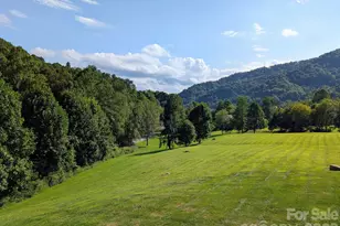 96 Buckeye Branch Dr, Clyde, NC 28721 - Photo 44