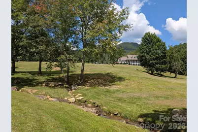 96 Buckeye Branch Drive, Clyde, NC 28721 - Photo 36
