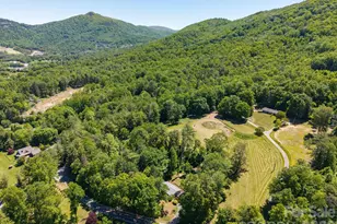 281 Rose Hill Rd, Asheville, NC 28803 - Photo 48