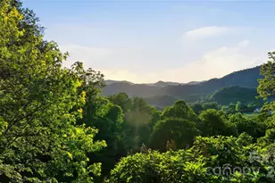 15 Racoon Point, Canton, NC 28716 - Photo 40