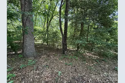 4446 Marion Drive, Terrell, NC 28682 - Photo 2