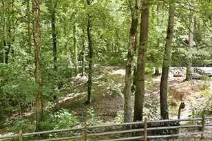 25 Theresa Terrace Rd, Nebo, NC 28761 - Photo 10