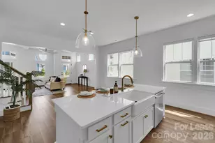 641 Hops Aly, Fort Mill, SC 29715 - Photo 6