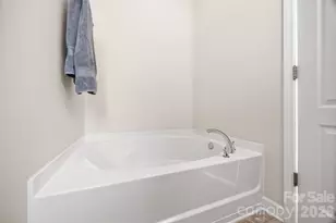 9821 Longstone Ln, Charlotte, NC 28277 - Photo 24