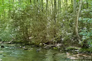 0 Timber Estates Rd, Bryson City, NC 28713 - Photo 1