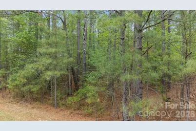 Vacant Davis Haywood Road, Mount Gilead, NC 27306 - Photo 2
