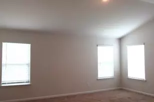 16111 Trenton Green Ln, Charlotte, NC 28273 - Photo 10