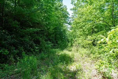 99999 Winding Ridge Road, Fairview, NC 28730 - Photo 10