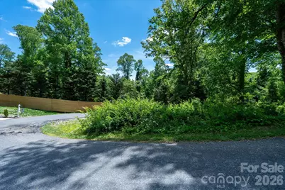 99999 Winding Ridge Road, Fairview, NC 28730 - Photo 6