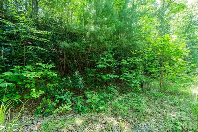 99999 Winding Ridge Road, Fairview, NC 28730 - Photo 14