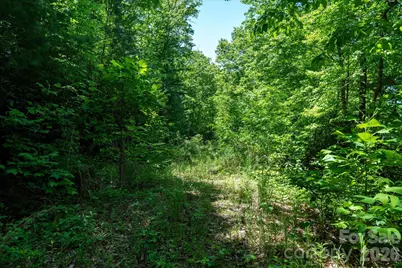 99999 Winding Ridge Road, Fairview, NC 28730 - Photo 12