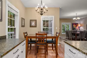 100 Welwyn Ln, Asheville, NC 28805 - Photo 16
