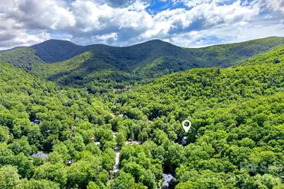 238 Texas Spur Road, Montreat, NC 28757 - Photo 38