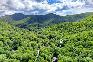 238 Texas Spur Rd, Montreat, NC 28757 - Photo 38
