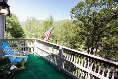 238 Texas Spur Road, Montreat, NC 28757 - Photo 34