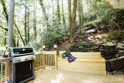 238 Texas Spur Road, Montreat, NC 28757 - Photo 26