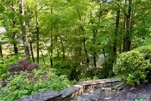 238 Texas Spur Rd, Montreat, NC 28757 - Photo 2