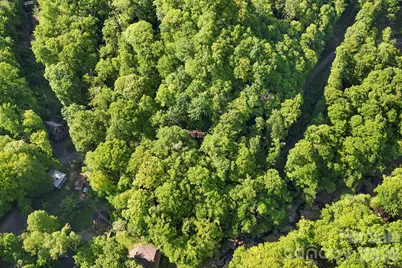 500 Winter Star Road, Burnsville, NC 28714 - Photo 4