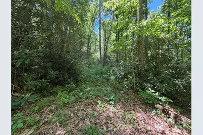 25 Buck Ridge Road, Fairview, NC 28730 - Photo 20