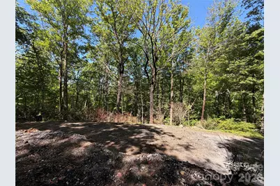 25 Buck Ridge Road, Fairview, NC 28730 - Photo 10