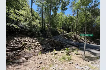25 Buck Ridge Road, Fairview, NC 28730 - Photo 24