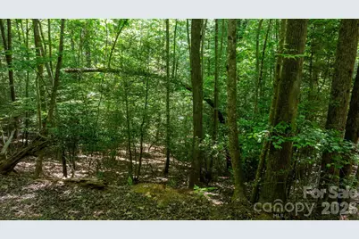 45 Harborside Drive #45, Nebo, NC 28761 - Photo 16