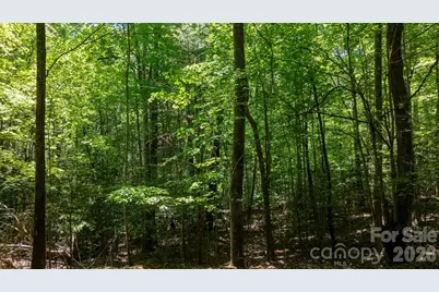 45 Harborside Drive #45, Nebo, NC 28761 - Photo 12
