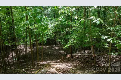 45 Harborside Drive #45, Nebo, NC 28761 - Photo 10