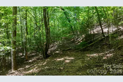 45 Harborside Drive #45, Nebo, NC 28761 - Photo 18