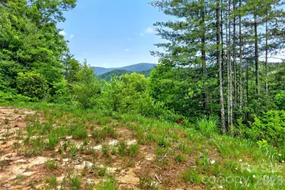 259 East Lester Lane, Hendersonville, NC 28739 - Photo 28