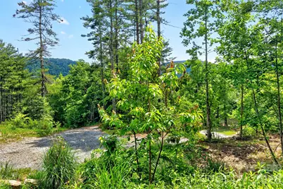 259 E Lester Lane, Hendersonville, NC 28739 - Photo 18
