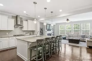 13034 Horned Lark Dr, Charlotte, NC 28278 - Photo 10