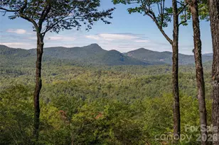 519 Eagle Dr, Sapphire, NC 28774 - Photo 20