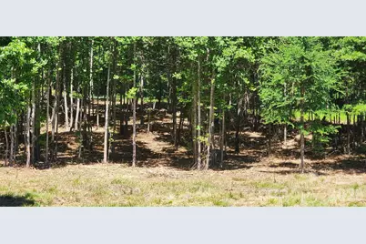 480 Brown Road, Spartanburg, SC 29302 - Photo 36