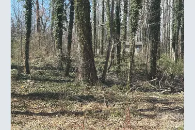99999 Caribou Road, Asheville, NC 28803 - Photo 2