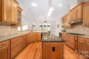 3946 Lake Spring Cove Ct, Denver, NC 28037 - Photo 12
