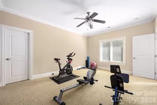 3946 Lake Spring Cove Ct, Denver, NC 28037 - Photo 28