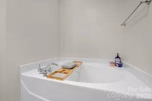 330 Bridal Veil Dr, Charlotte, NC 28217 - Photo 14