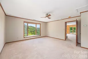 250 Lynn Cove Rd, Asheville, NC 28804 - Photo 20
