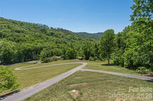 250 Lynn Cove Rd, Asheville, NC 28804 - Photo 12