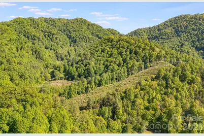 130 Black Crow Road, Burnsville, NC 28714 - Photo 6