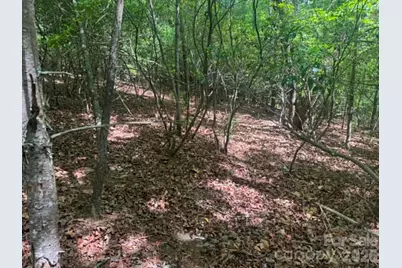 Lot 19 Fawn Lane, Hayes, NC 28635 - Photo 16