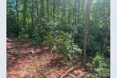 Lot 19 Fawn Lane, Hayes, NC 28635 - Photo 6