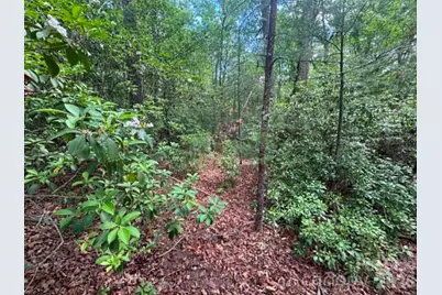 Lot 19 Fawn Lane, Hayes, NC 28635 - Photo 12