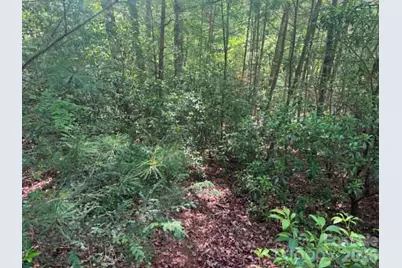 Lot 19 Fawn Lane, Hayes, NC 28635 - Photo 8