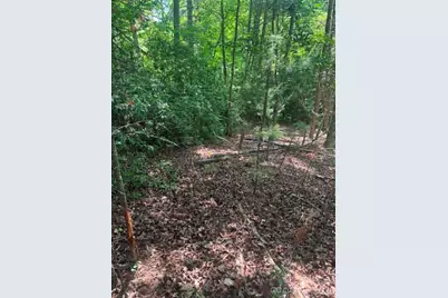 Lot 19 Fawn Lane, Hayes, NC 28635 - Photo 10
